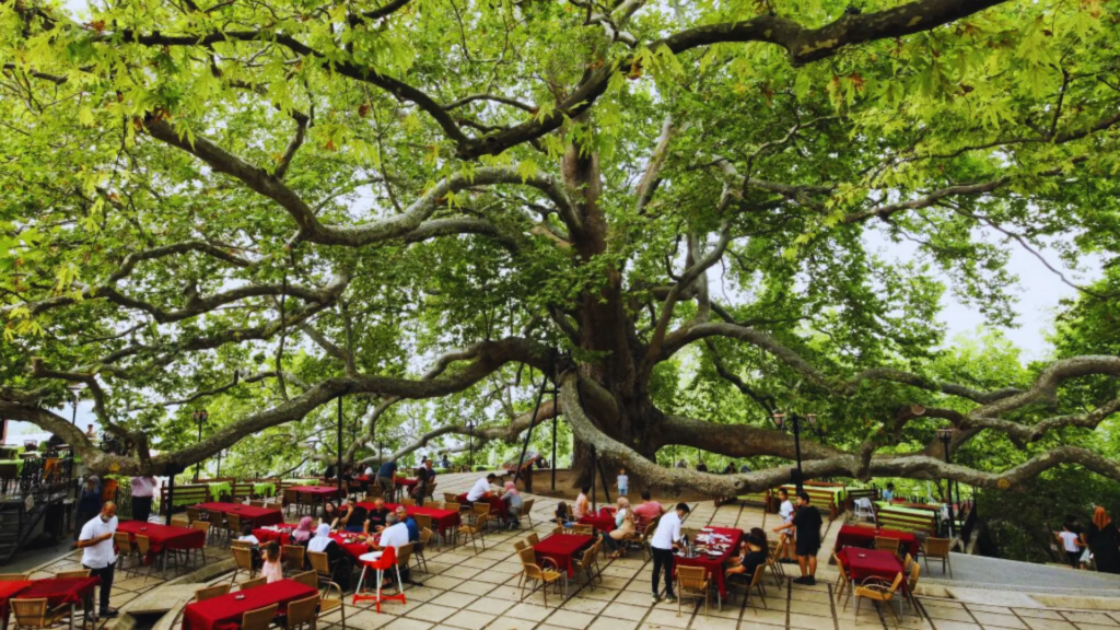 رحلة بورصة من اسطنبول